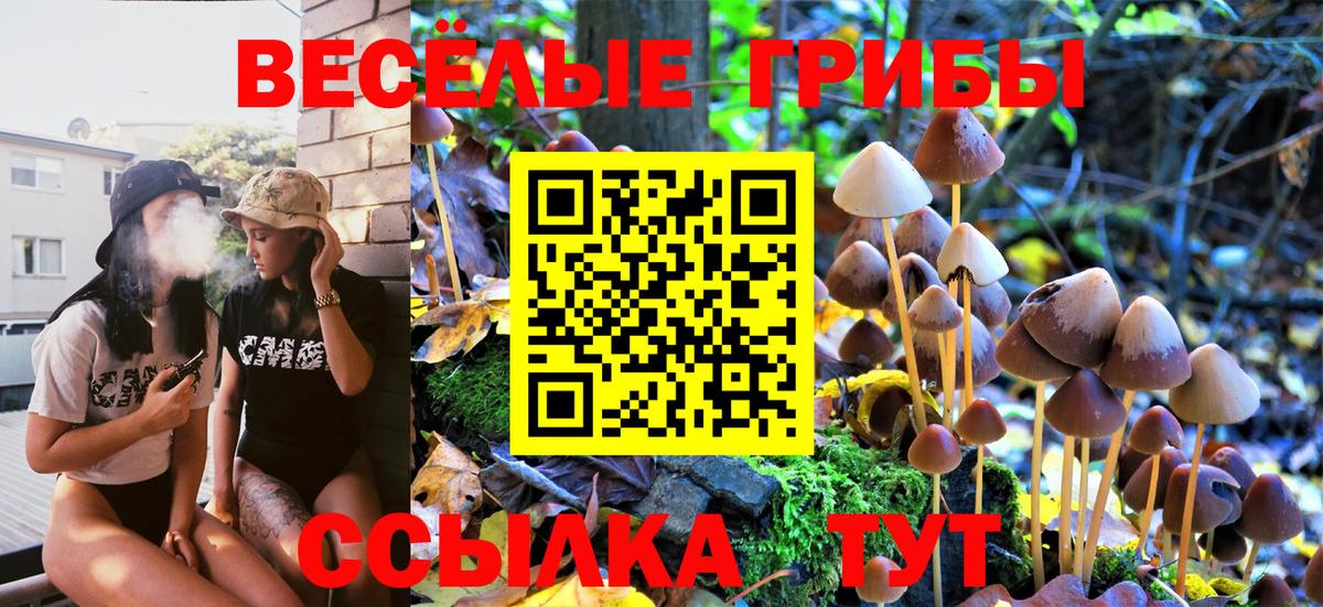 Галлюциногенные грибы GOLDEN TEACHER  Вход с VPN  Тосно 