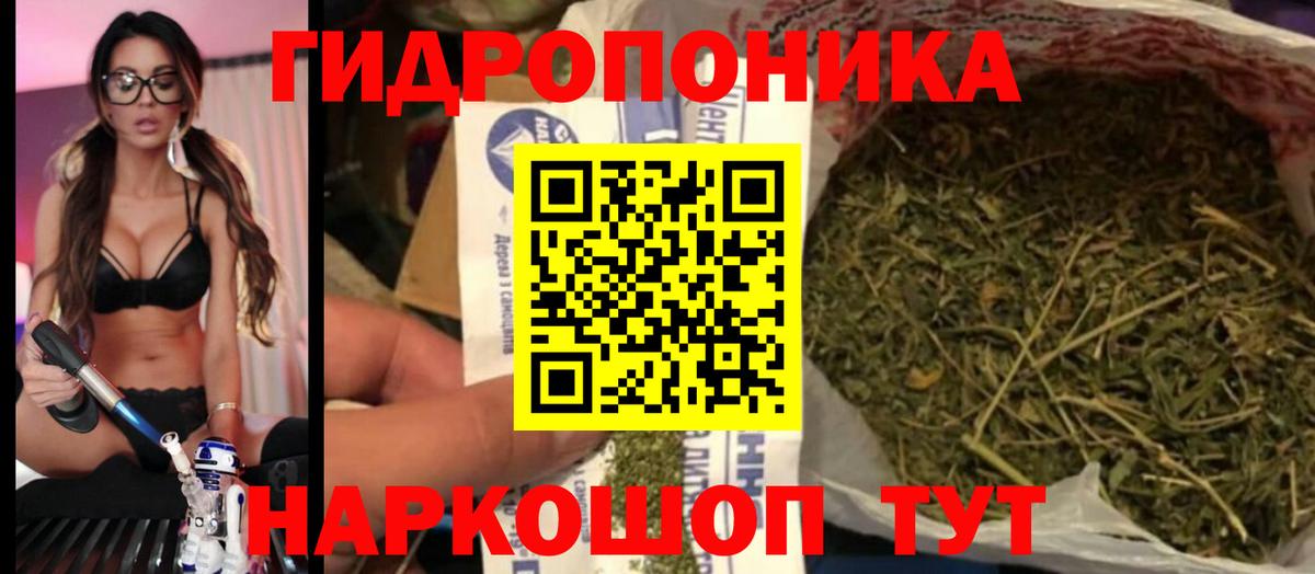 Бошки Шишки гибрид  Бошки Шишки планчик  Канабис ГИДРОПОН  Тосно  Конопля сатива  Вход с VPN 